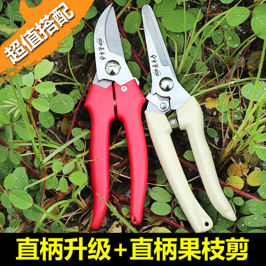 Stainless steel powerful gardening pruning shears for household use labor-saving flower pruning branches flower art scissors (14116) Stainless steel powerful pruning shears