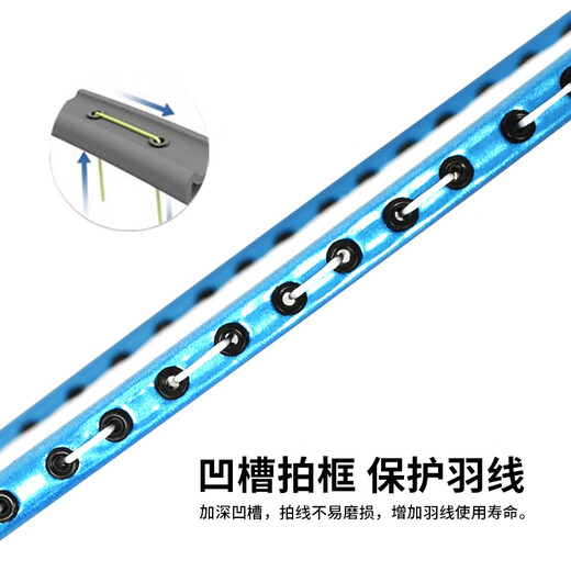 ENPEX乐士羽毛球拍双拍 耐打型学生成人对拍 ART-50  附101-3羽毛球