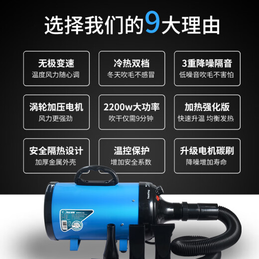 Laiwang Brothers Hair Dryer Pet Dog Hair Dryer Large Dog Special Dryer Hair Dryer High Power Blue (PD-9001)