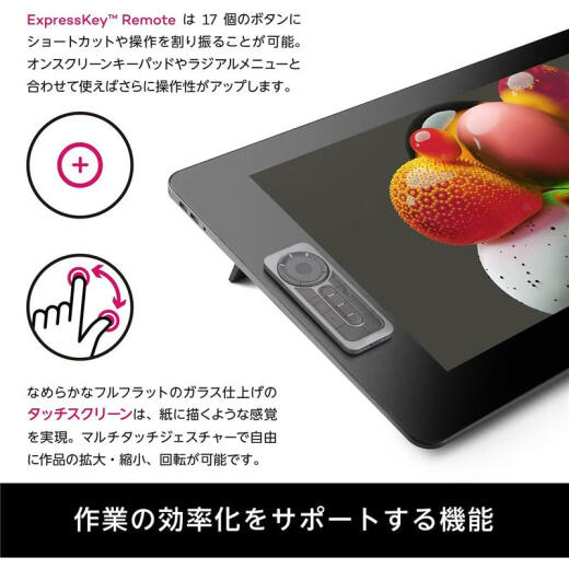 和冠（Wacom）【JD物流 日本直邮】和冠 wacom 手绘板数位屏电脑绘图板绘画板网课写字板 TDTH-2420/K0（液晶数位屏）