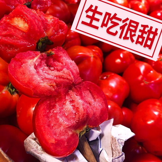 Provence Tomato Seeds Tomato Seeds Imported from the Netherlands, a good-tasting, high-yield sowing variety for all seasons Provence Tomato Seeds (New Product) 20 capsules