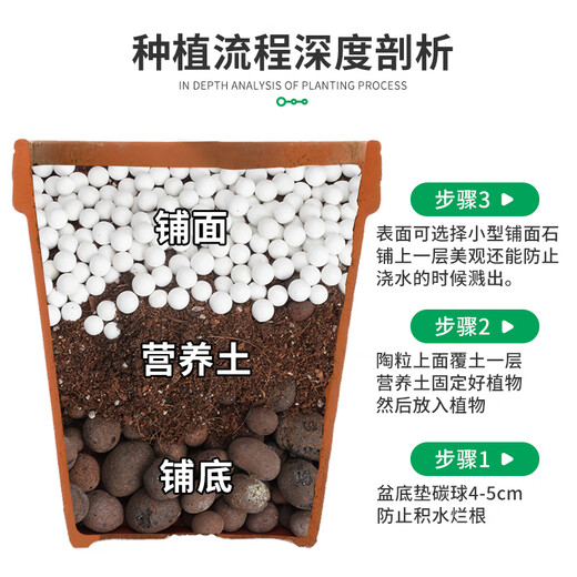 Devodore Lunuma почва 5 л (3-6 мм) дно цветочного горшка смешанная почва засыпка водоудерживающая дышащая цветочная брусчатка с сочными цветами