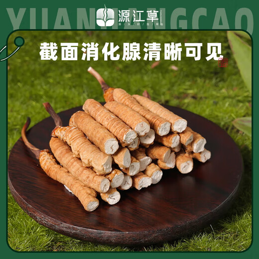 源江草冬虫夏草断虫草甄选断草 实惠装 老年人营养品自食用送礼 断草8克