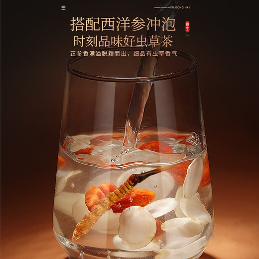 Fudonghai Cordyceps sinensis 20G Geschenkbox erstklassiges Qualitätsstück (4-5 Stücke/g), ausgewählt in großer Höhe gefriergetrocknet