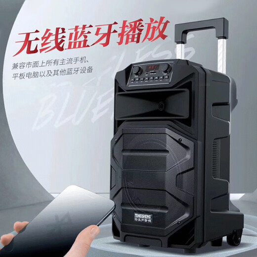 TEMEISHENG SL12-31Pro outdoor square dance karaoke audio high-power portable trolley Bluetooth mobile speaker 10-inch standard + 2 wireless microphones + gift bag (gift)