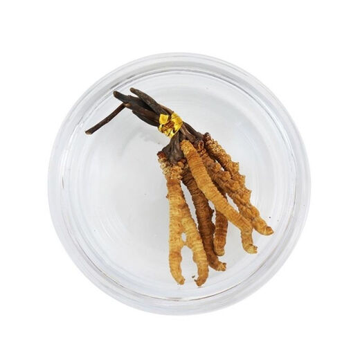 雄风道藏区雪域冬虫夏草 正宗虫草 无断草 2-3根1g 十根起拍才发