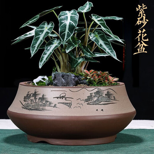 Yixing lila Tonblüten Pot Keramik Haushalt Einfacher runde große, mittlere und kleine Durchmesser Baum Bonsai Topf 693 Schalen kleiner roter Topf mit Kunststoffschale + Abflussnetz