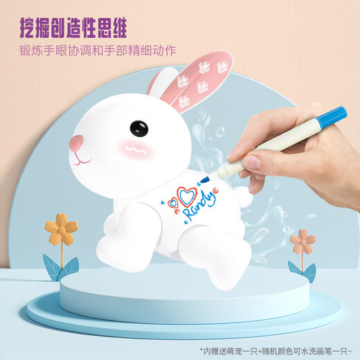 赟娅小鸡宠物过家家玩具女孩3-6岁生日六一儿童节礼物涂鸦兔洗澡农场 贝壳萌宠兔【涂鸦可水洗】