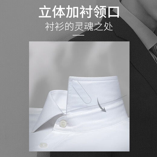 
ROMON ice silk elastic short-sleeved shirt for men in summer thin middle-aged and young business professional formal wear anti-wrinkle-free shirt for men men white + light blue [ice-sleeved short-sleeved shirt] size 42 size/3XL