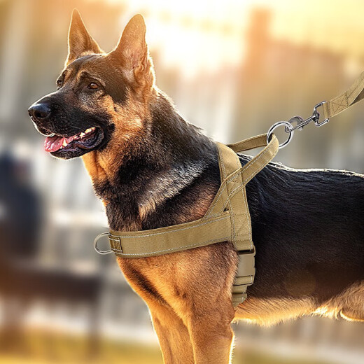DidogPet dog harness pet harness dog supplies dog leash dog leash set brown XL size recommended 75-110Jin [Jin equals 0.5 kg]