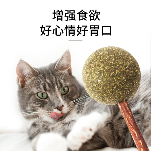 Crazy Puppy Beauty Cat Toy Cat Mint Lollipop Cat Snacks Teeth Cleaning and Molar Stick Wood Tianli Cat Funny Cat Stick Cat Toy