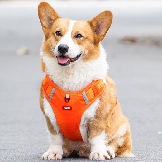 Front Pet Harness Dog Walking Traction Corgi Teddy Medium Dog Puppy Vest Type Explosion-proof Dog Harness Orange M