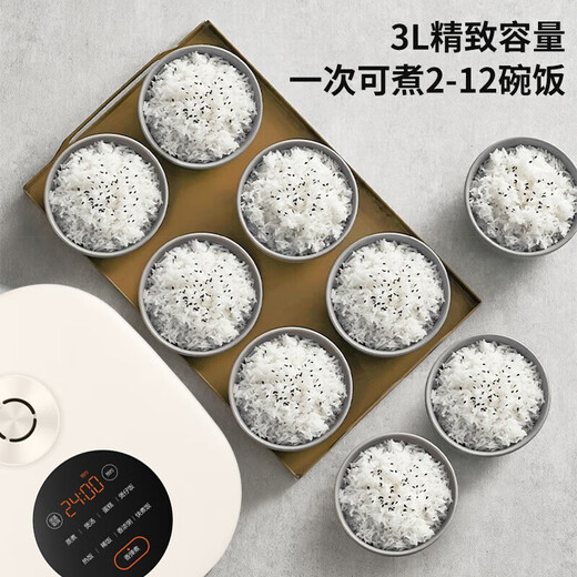 苏泊尔（SUPOR）电饭煲微压电饭锅小3L蓝钻不沾内胆触控多功能家用智能小型迷你快煮电饭煲柴火饭 SF30FC671 适合2-6人 3L