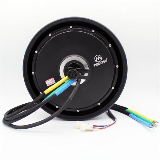 Customized for No.9/car modification 10-inch/12-inch Yuma motor 2000W 12-inch 6000 tile light plate torque version