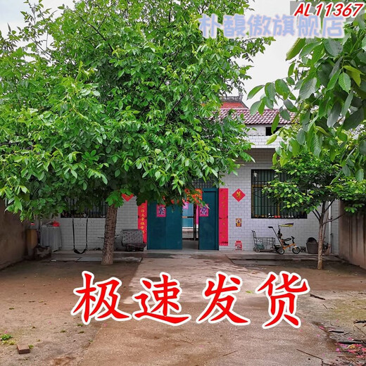 新直播背景视频直播间主播山水田园外景快手抖音网红背景布 11149 宽2米高2.5米