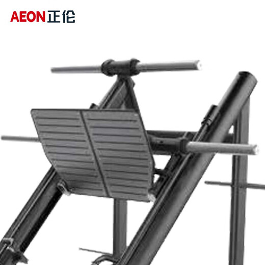 Zhenglun Zhenglun GS-753 Dispositivo de entrenamiento de pedal inverso de 45 grados