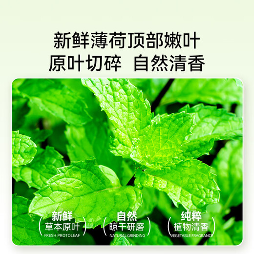 Tanbeiman Cat Mint Tea Natural Cat Mint Tea Bags Help Cats Drink Water, Digest Cats, Regulate Emotions, and Promote Cats to Drink Water. Cat Mint Tea 1 box, 10 sachets, 2g 1 sachet, promotes increased cat drinking, and soothes emotions~