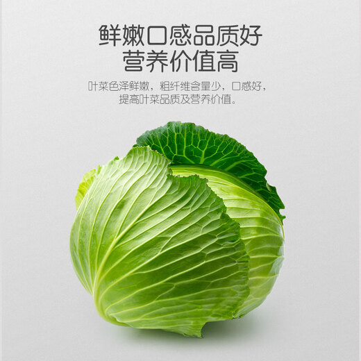 Stanley organic compound fertilizer for vegetables: leek, rape, lettuce, coriander, household vegetable fertilizer, leafy vegetable type 2.5 Jin Jin equals 0.5 kg