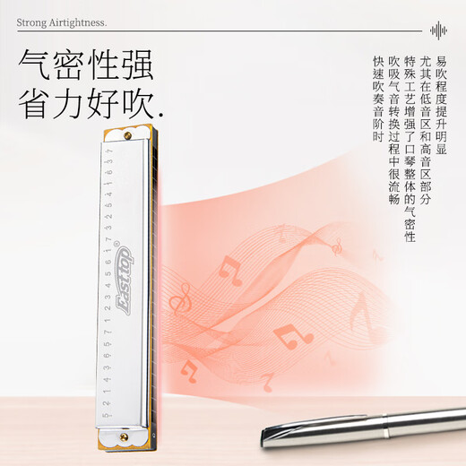 东方鼎（EAST TOP）24孔复音口琴银色盖板红色塑盒T2401S