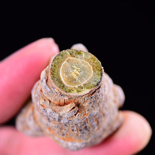 滇域茗草 文山三七20头30头40头60头人工精选货特级田七头 500g 20头24只无剪口500g