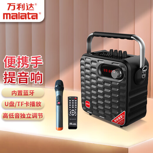 Malata household electric acoustic guitar folk singing instrument speaker mini portable audio subwoofer outdoor square dance performance street multi-function Y5S