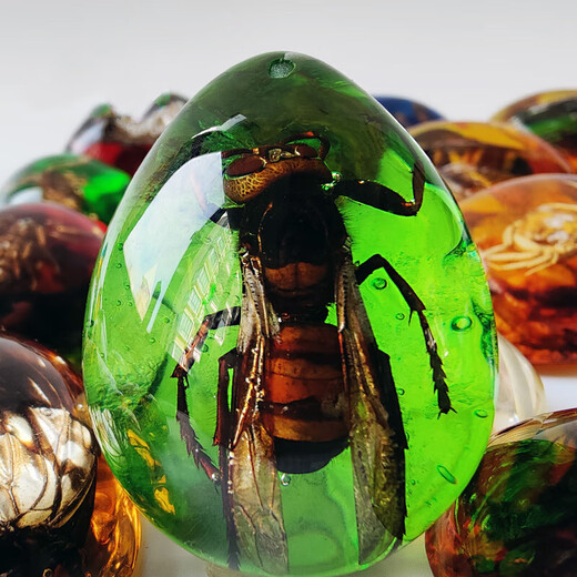 Huilu Insect Amber Pendant Natural Butterfly Specimen Insect Amber Necklace With Insect Animal Pendant Made Fashion Creative Single Side Polished Ocean Blue Scorpion With Lanyard