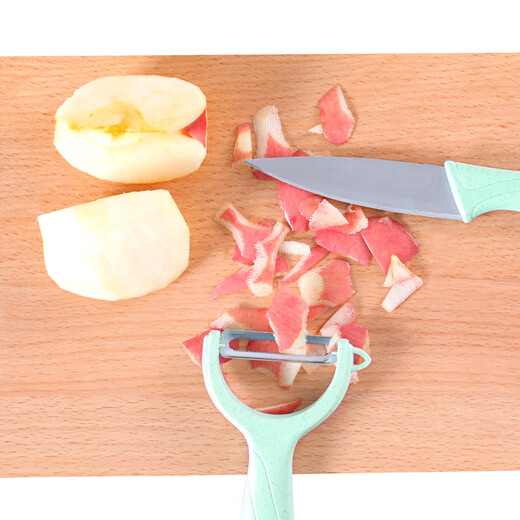 Bethers Stainless Steel Fruit Knife Two-Piece Set Portable Fruit Knife Grater Knife Tool Set Wheat Straw Home Multi-Function Knife for Dormitory Students