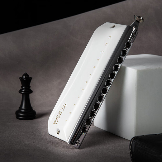东方鼎（EAST TOP）半音阶口琴12孔48音白色款 梦想者2.0 专业演奏初学练习通用款