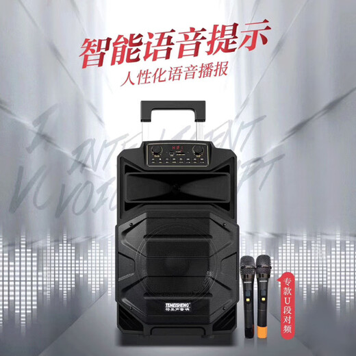 TEMEISHENG SL12-31Pro outdoor square dance karaoke audio high-power portable trolley Bluetooth mobile speaker 10-inch standard + 2 wireless microphones + gift bag (gift)