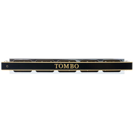 通宝（TOMBO）日本TOMBO通宝套装口琴24孔复音口琴入门进阶演奏教学款7调12调 24孔 通宝6624S-12支套装