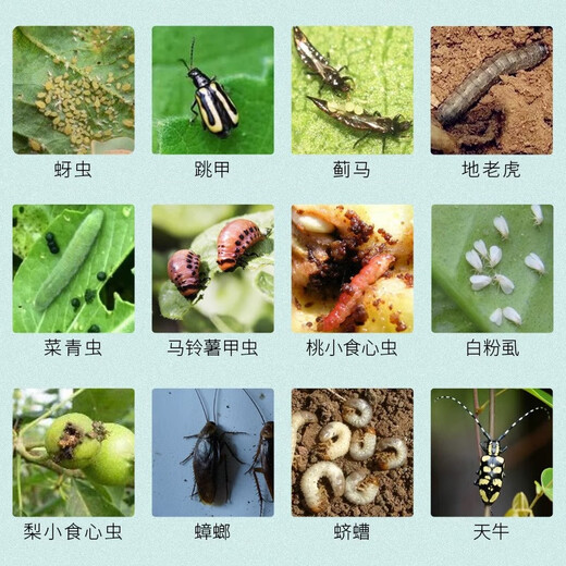 Donghe Biotech 2.5% high-efficiency cyhalothrin fruit trees, flowers and vegetables kill mosquitoes, aphids, cabbage insect pesticides 500g