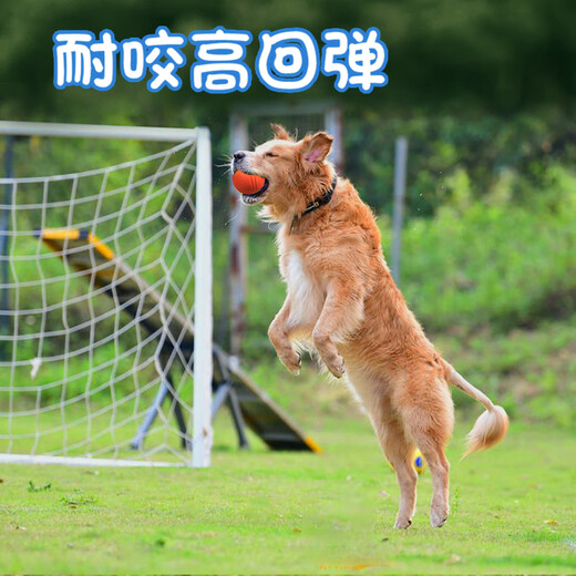 Pochido Dog Toy Ball Small Teeth Resistant Elastic Ball Teddy Self-Enjoyment Relief Solid Rubber Ball Pet Training