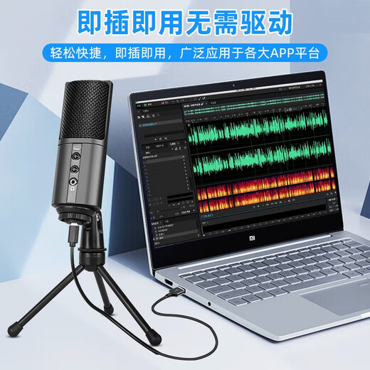 Burren Bell BL520X-USB condenser microphone audiobook recording novel Himalaya professional dubbing mobile phone computer microphone recitation narration broadcast equipment computer recording dubbing entry-level model with monitoring headphones
