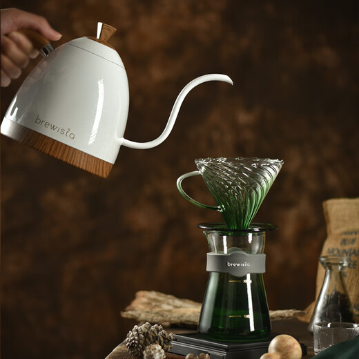 BREWISTA Intelligent Temperature Control Hand Brewing Coffee Pot Stainless Steel Temperature Controlling Hand Brewing Household Slender Mouth Hot Hand Brewing Pot Silver PRO- 0.6L