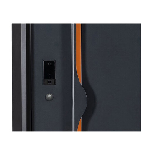 和乐门业（HELE DOORS）和乐门业 甲级门-和福 轻奢简约风 防盗入户门 钢质门 可定制 2050*960单扇