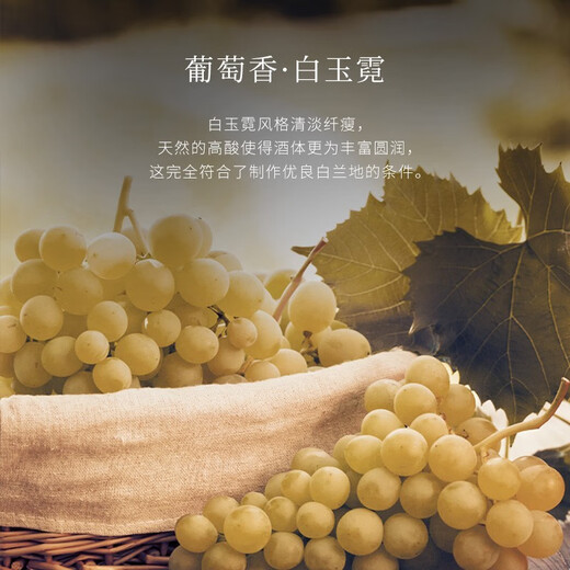 路易马西尼派斯顿法国进口洋酒XO白兰地40°烈酒（原酒进口）金葫芦·名酒 单支 700mL 1瓶
