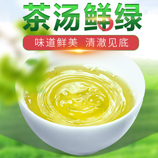 琛牌铁观音茶叶礼盒250克【买2=发3】特级乌龙茶自己喝送礼春茶清香型