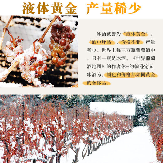 torbreck加拿大冰酒 原瓶进口VQA冰葡萄酒甜白甜红葡萄酒 雷司令晚收甜酒 【冰白*3+冰红*3】整箱装
