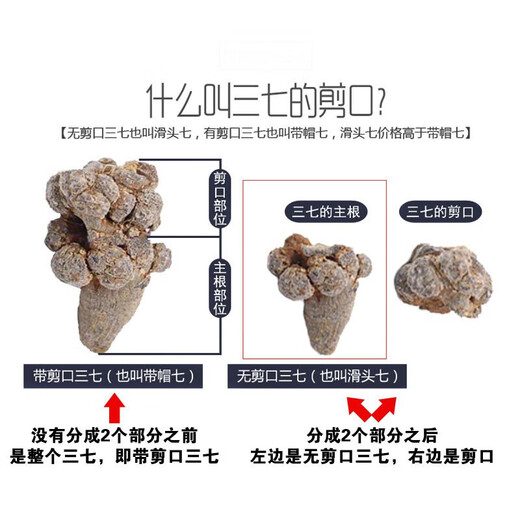 Leixiangzhuang Sanqi, Yunnan Wenshan, 37, keine Schnitte am 37. Kopf ohne Schnitte [25 Köpfe 500 Gramm - keine Schnitte]