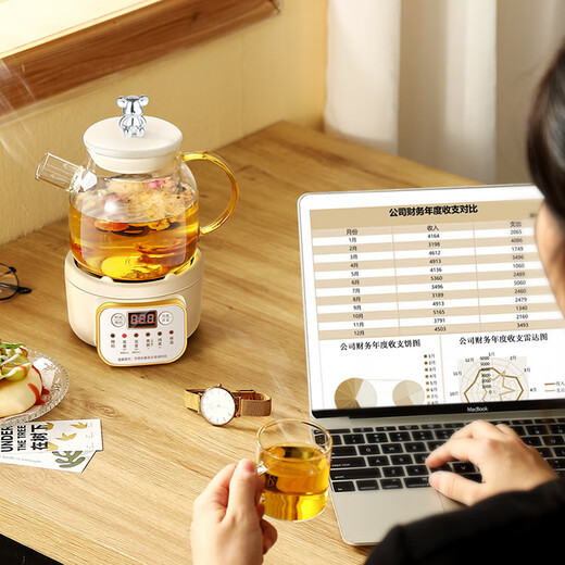 Good tool mini multi-functional health pot small office mini home 2024 new tea boiler teapot stew pot kettle heat-resistant all-glass floral teapot for one person Smart model 1.05L Smart model 1.0L