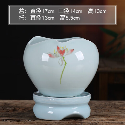 Qiantangyuan (Qian Tang Yuan) Kreatives grünes Bambus Sukkulenter Blumentopf Lazy Automatisches Wasser saugfähig Ceramics Haushalt atmungsaktivem Mandarin Bambus Phalaenoptic Orchid Pot Pflanze Große yy pinkgrün 719+ Lazy Base