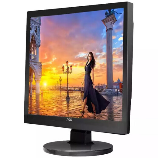 
AOC E719SD/BK 17-inch monitor 5:4 square screen supports wall-mounted computer display VAG+DVI interface