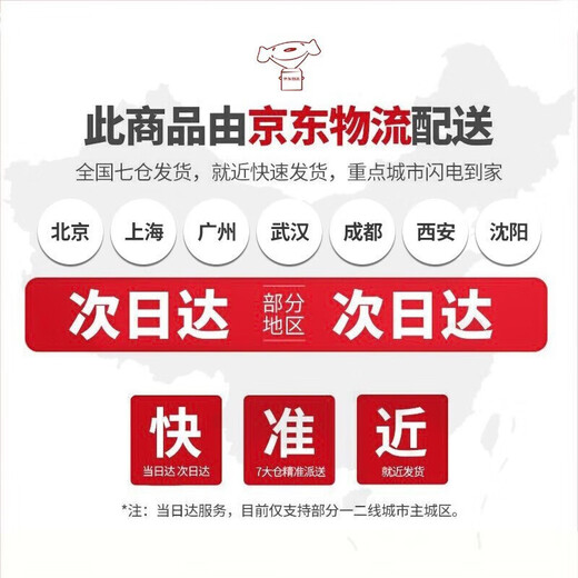 集物一册萌萌大熊猫小摆件 可爱熊猫公仔桌面小摆件送同学儿童生日礼物 慵懒熊猫(一套8个)+礼盒+灯串