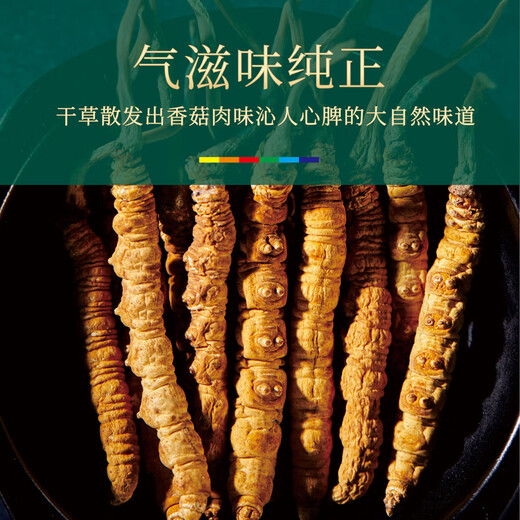 Cordyceps sinensis 3 Wurzeln/G10g ungefähr 30 Wurzeln Cordyceps Festliche Geschenke High-End-Nahrung Ernährung Auswahlgeschenke