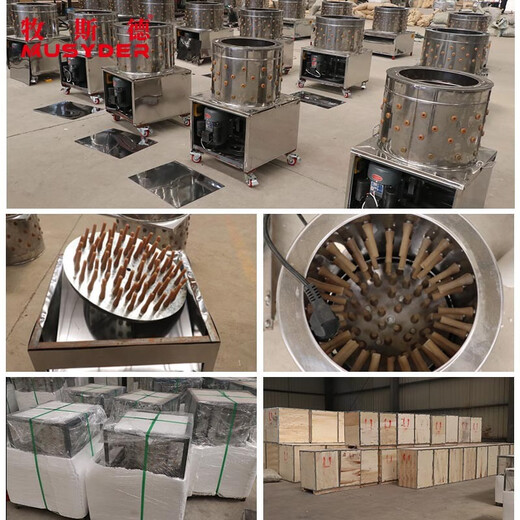 Mushide hair removal machine, fully automatic hair removal machine, turbine hair removal machine, small poultry stainless steel all-in-one machine, shipped after disinfection, 50-type all-in-one machine