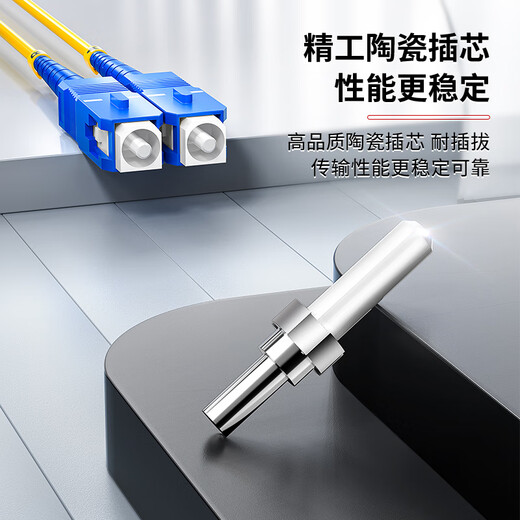 安普康（AMPCOM）电信级单模双芯2.0mm工程光纤跳线SC-SC低烟无卤入户线9/125μm收发器尾纤 5米 ASM2SC2205