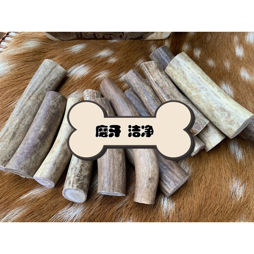 Yusange (yusange) deer antler teething stick for single dog, naturally resistant to chewing bones, snacks, chewing gum, Teddy Golden Retriever, Corgi French Bulldog puppy, large cut surface 200-220g (20-40kg dog)