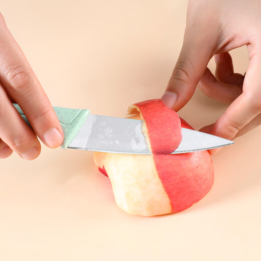 Bethers Stainless Steel Fruit Knife Two-Piece Set Portable Fruit Knife Grater Knife Tool Set Wheat Straw Home Multi-Function Knife for Dormitory Students
