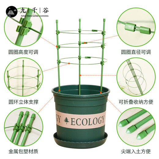 
Nine Thousand Valley Plant Climbing Brackets Steel Pipe Flower Pots Vines Flower Frame Rose Grape Fixed Raspberry Grape Fixed Rack 75cm4641