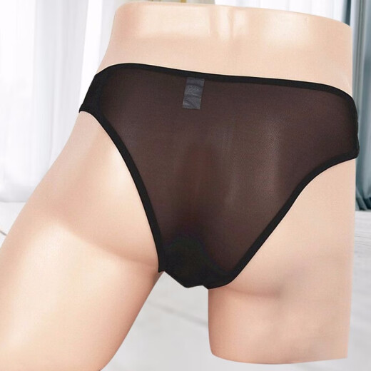 Hot Cat Sexy Underwear Transparent Sexy Low Waist Bump Big Bag Sexy Underwear Mesh Men R470 Black